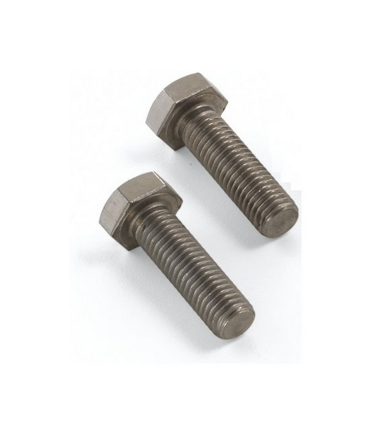VITE INOX